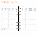 Quo Vadis - Kalendereinlage für Compacttimer 11,5x16cm1 Woche/2 Seiten 2023